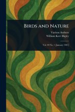 Birds and Nature