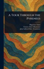 A Tour Through the Pyrenees