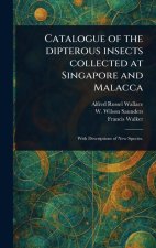 Catalogue of the Dipterous Insects Collected at Singapore and Malacca