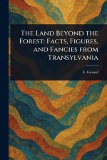 The Land Beyond the Forest
