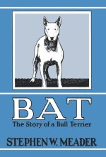 BAT, The Story of a Bull Terrier