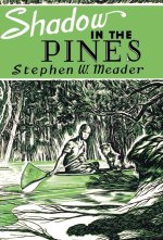 Shadow in the Pines