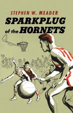 Sparkplug Of The Hornets