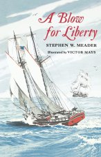 A Blow For Liberty