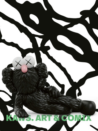 KAWS. Art & Comic