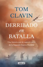 Derribado En Batalla. Una Historia de Supervivencia En La Segunda Guerra Mundial / Lightning Down: A World War II Story of Survival