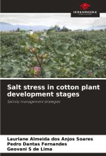 Salt stress in cotton plant development stages