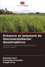 Présence et isolement de Gluconacetobacter diazotrophicus