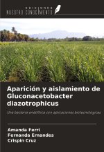 Aparición y aislamiento de Gluconacetobacter diazotrophicus