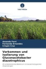 Vorkommen und Isolierung von Gluconacetobacter diazotrophicus