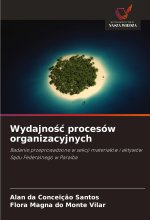 Wydajno?? procesów organizacyjnych