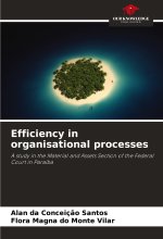 Efficiency in organisational processes