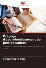 Dragage d'approfondissement du port de Santos