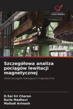 Szczegó?owa analiza poci?gów lewitacji magnetycznej