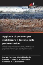 Aggiunta di polimeri per stabilizzare il terreno nelle pavimentazioni