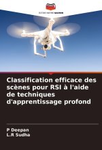 Classification efficace des sc?nes pour RSI ? l'aide de techniques d'apprentissage profond