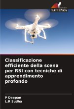 Classificazione efficiente della scena per RSI con tecniche di apprendimento profondo