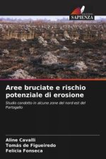 Aree bruciate e rischio potenziale di erosione