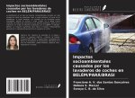 Impactos socioambientales causados por los lavaderos de coches en BELÉM/PARÁ/BRASI