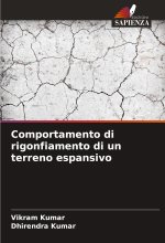 Comportamento di rigonfiamento di un terreno espansivo
