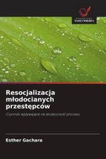 Resocjalizacja m?odocianych przest?pców