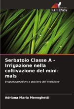 Serbatoio Classe A - Irrigazione nella coltivazione del mini-mais