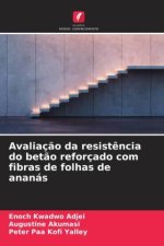 Avaliaç?o da resist?ncia do bet?o reforçado com fibras de folhas de ananás
