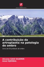 A contribuiç?o da artroplastia na patologia do ombro
