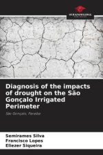 Diagnosis of the impacts of drought on the S?o Gonçalo Irrigated Perimeter