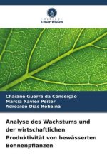 Analyse des Wachstums und der wirtschaftlichen Produktivität von bewässerten Bohnenpflanzen