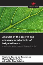 Analysis of the growth and economic productivity of irrigated beans