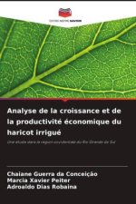 Analyse de la croissance et de la productivité économique du haricot irrigué