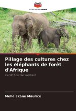 Pillage des cultures chez les éléphants de for?t d'Afrique
