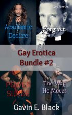 Gay Erotica Bundle #2