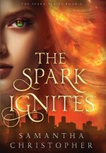 The Spark Ignites