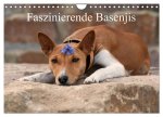 Faszinierende Basenjis (Wandkalender 2026 DIN A4 quer), CALVENDO Monatskalender