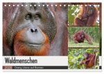 Waldmenschen - Orang Utans auf Borneo (Tischkalender 2026 DIN A5 quer), CALVENDO Monatskalender