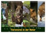 Tierspuren in der Natur (Wandkalender 2026 DIN A4 quer), CALVENDO Monatskalender