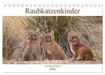Raubkatzenkinder (Tischkalender 2026 DIN A5 quer), CALVENDO Monatskalender