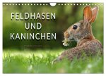 Feldhasen und Kaninchen (Wandkalender 2026 DIN A4 quer), CALVENDO Monatskalender