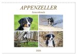 Appenzeller Sennenhunde (Wandkalender 2026 DIN A3 quer), CALVENDO Monatskalender