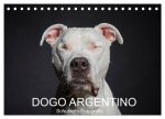 DOGO ARGENTINO (Tischkalender 2026 DIN A5 quer), CALVENDO Monatskalender