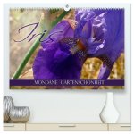 Iris - mondäne Gartenschönheit (hochwertiger Premium Wandkalender 2026 DIN A2 quer), Kunstdruck in Hochglanz