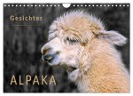 Alpaka Gesichter (Wandkalender 2026 DIN A4 quer), CALVENDO Monatskalender