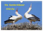 Die Sandershäuser Störche (Wandkalender 2026 DIN A4 quer), CALVENDO Monatskalender