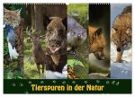 Tierspuren in der Natur (Wandkalender 2026 DIN A2 quer), CALVENDO Monatskalender