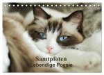 Samtpfoten Lebendige Poesie (Tischkalender 2026 DIN A5 quer), CALVENDO Monatskalender