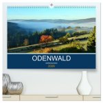 Odenwald - Impressionen (hochwertiger Premium Wandkalender 2026 DIN A2 quer), Kunstdruck in Hochglanz