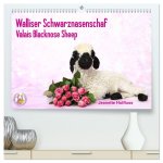 Walliser Schwarznasenschaf Valais Blacknose Sheep (hochwertiger Premium Wandkalender 2026 DIN A2 quer), Kunstdruck in Hochglanz