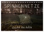 Spinnennetze - Wunder der Natur (Tischkalender 2026 DIN A5 quer), CALVENDO Monatskalender